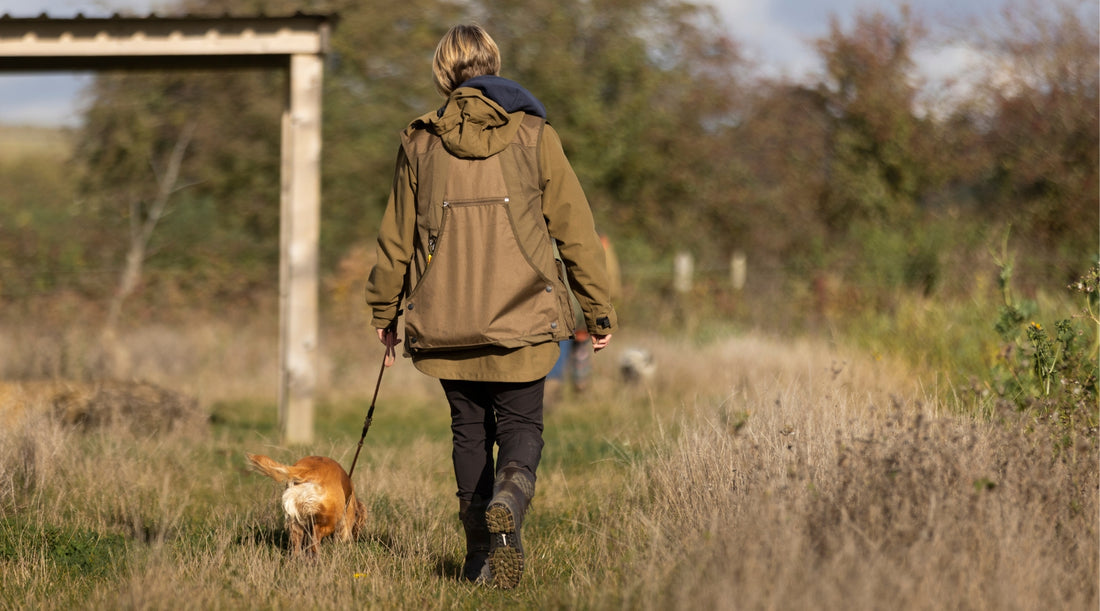 Can I take my gundog on a walk?