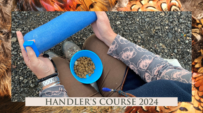 2024 Handler's Course Two