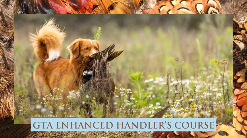 GTA Enhanced Handler's Course