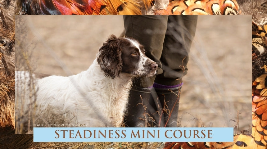 Steadiness Mini Course and Challenge