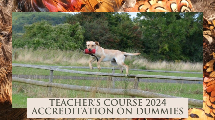 2024 Teacher's Course - Accreditation on Dummies