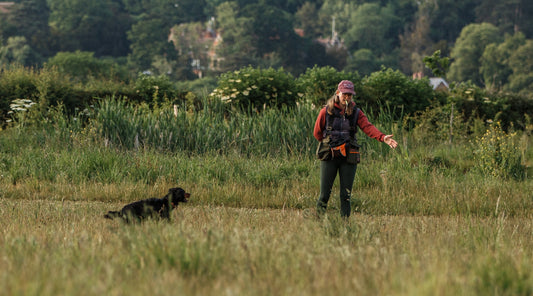Part One: Essential skills to stop your dog from going feral in the countryside