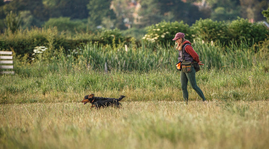 Part Two: Hunting with your gundog breed