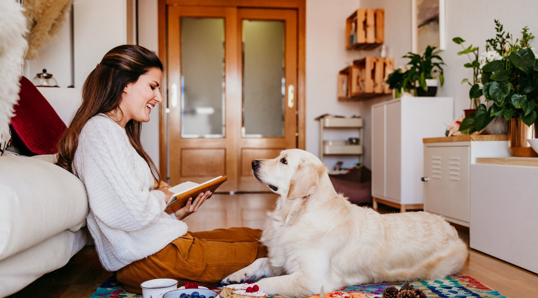 Setting clear gundog training goals for 2026