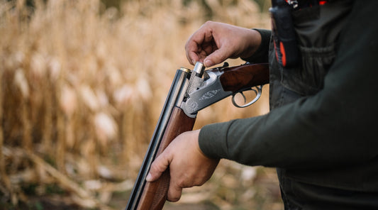 How to introduce your gundog to the sound of shot