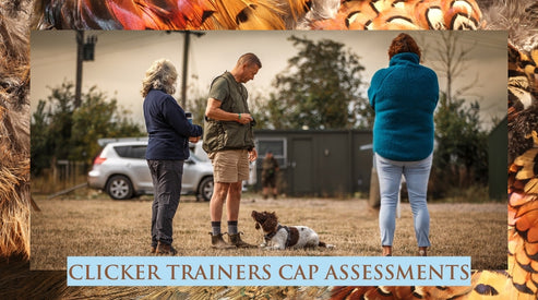 2026 Clicker Trainers CAP Assessment | Gundog Trainers Academy