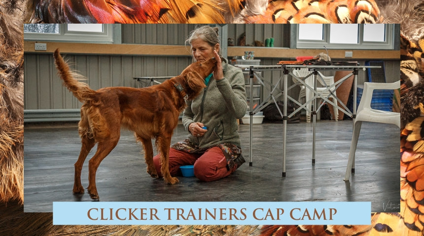 2026 Clicker Trainers CAP Camp