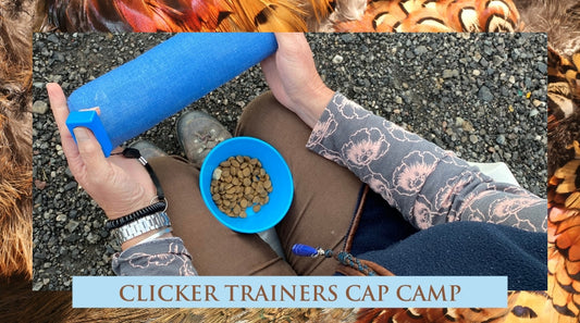 2025 Clicker Trainers CAP Camp