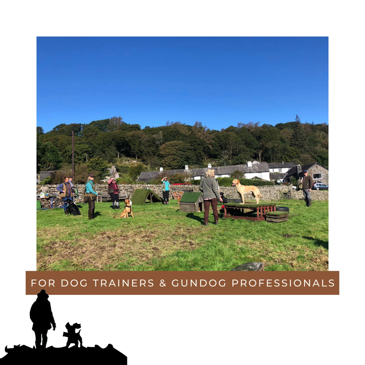Gundog Trainers Academy