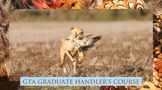 2026 GTA Graduate Handler's Course