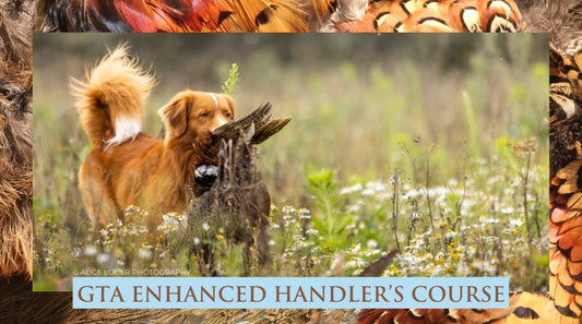GTA Enhanced Handler's Course