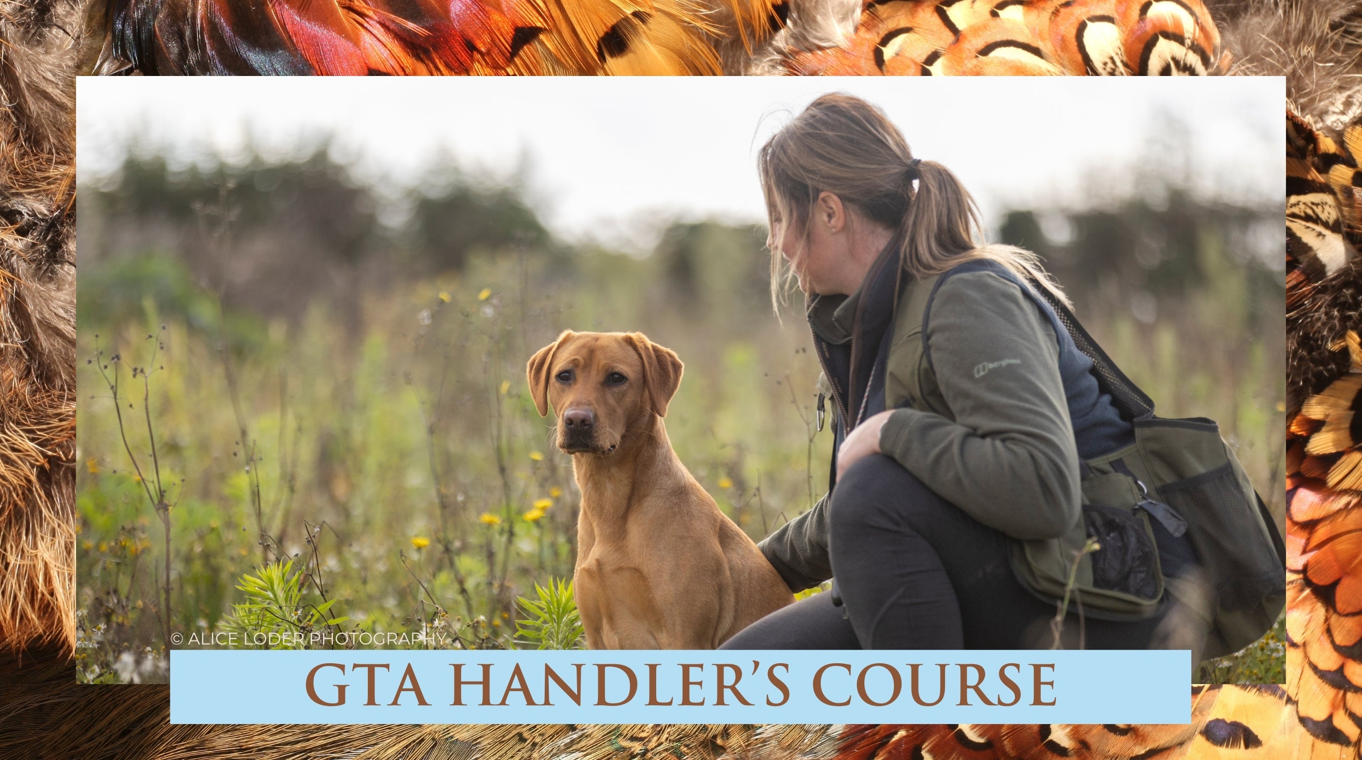 Dog handler store courses near me