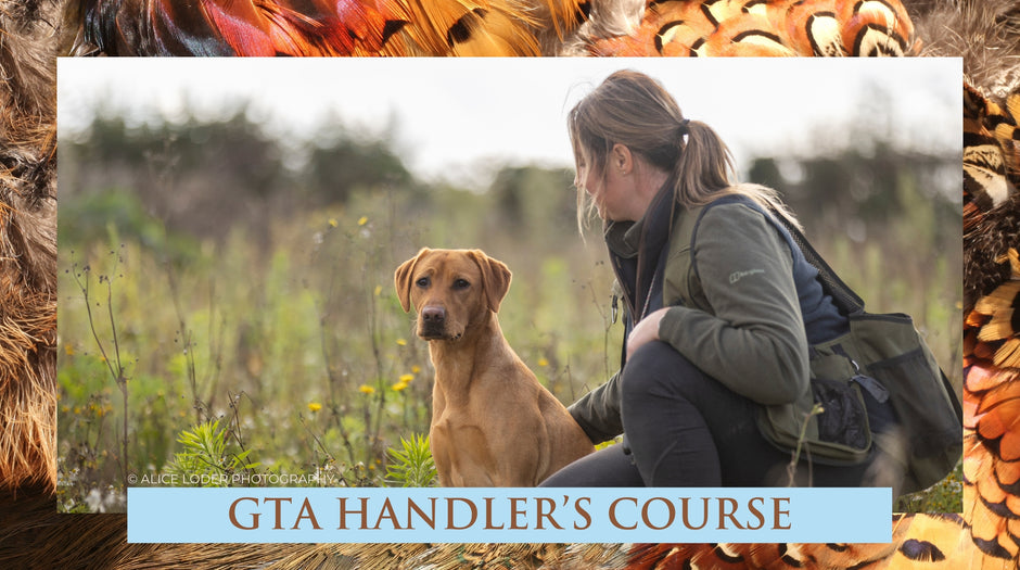In Person Courses – Gundog Trainers Academy