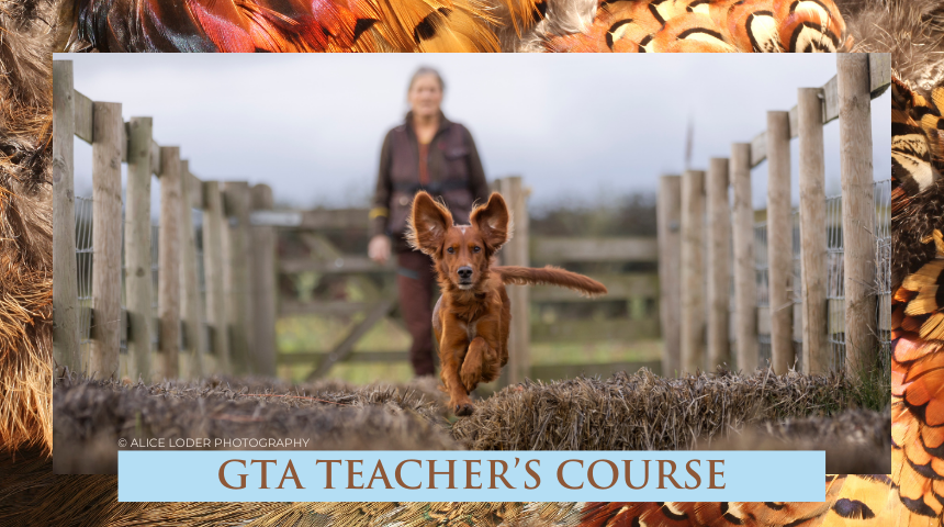 2028 GTA Teacher's Course | Gundog Trainers Academy