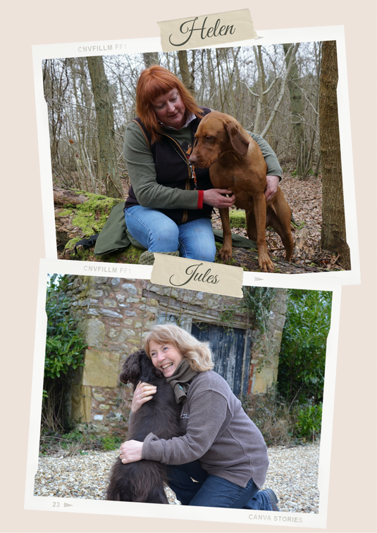 Gundog Trainers Academy | Online Membership