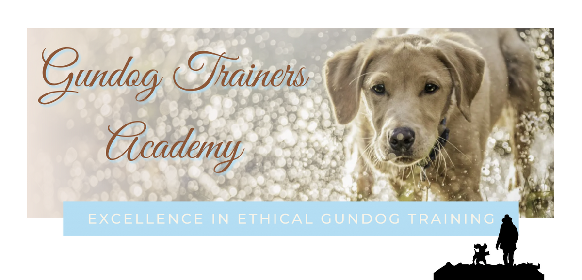 Gundog Trainers Academy